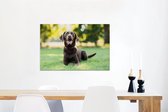 Canvas Schilderij Een Labrador Retriever ligt in het gras - 60x40 cm - Wanddecoratie