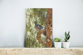 Canvas Schilderij Houtduif - Boom - Natuur - 20x30 cm - Wanddecoratie