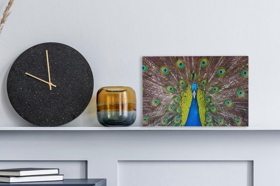 Mâle paon exhibe ses plumes rouges Toile 30x20 cm - petit - Tirage photo sur toile (Décoration murale salon / chambre)