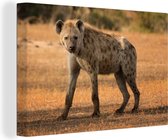 Canvas schilderij 140x90 cm - Wanddecoratie Hyena - Afrika - Muurdecoratie woonkamer - Slaapkamer decoratie - Kamer accessoires - Schilderijen