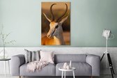 Canvas Schilderij Gazelle - Portret - Zon - 80x120 cm - Wanddecoratie