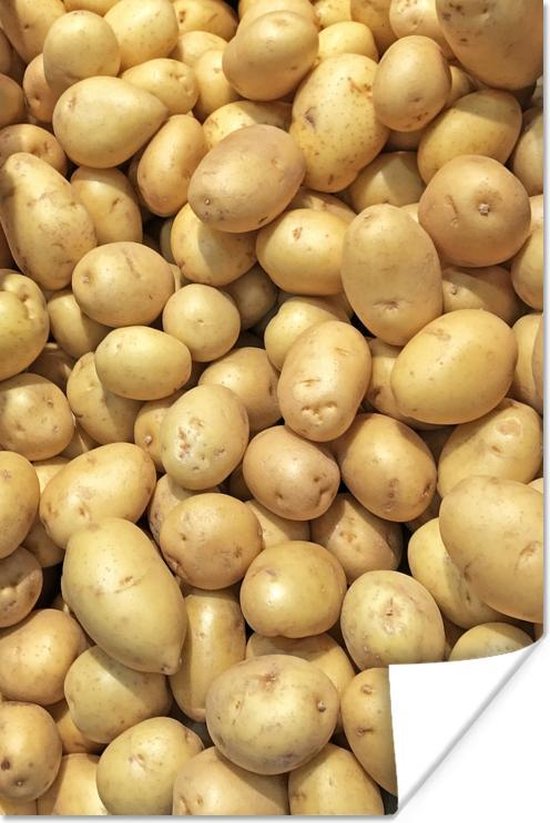 Poster Groente - Aardappel - Eten - 60x90 cm