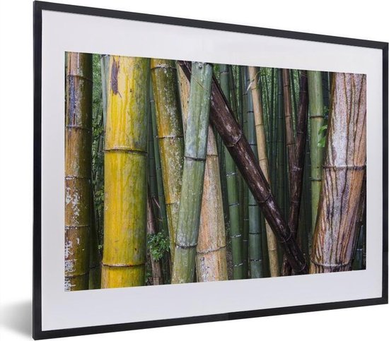 Fotolijst incl. Poster - Vele soorten bamboe in het Bamboebos van Arashiyama in Japan - 40x30 cm - Posterlijst