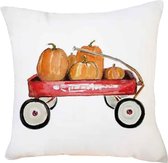 2 STKS Halloween Pompoen Korte Pluche Super Zachte Kussensloop Decoratie zonder Kussen Kern (Pompoen Trolley)