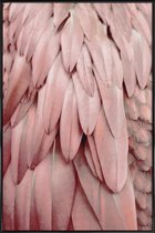 JUNIQE - Poster in kunststof lijst Pastel Feathers -40x60 /Roze