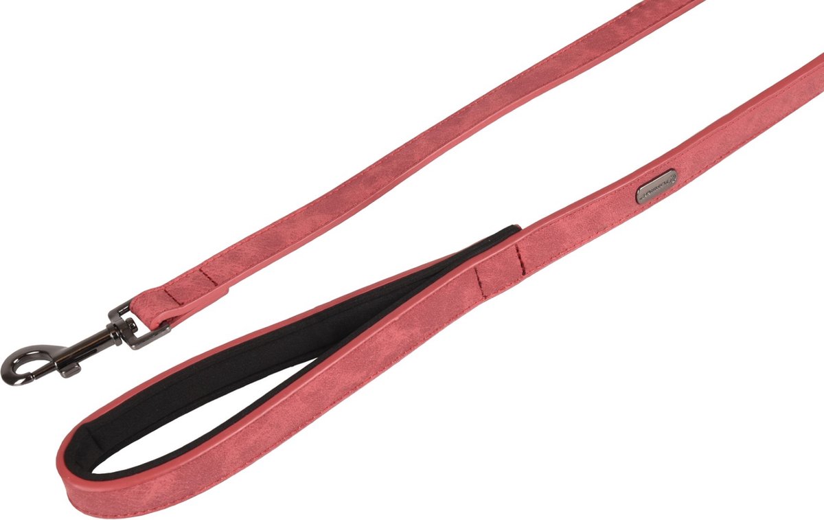 Flamingo Delu Hondenriem / Hondenlijn - Imitatieleder - Rood - Breedte: 15 mm - Lengte: 100 cm