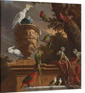 De menagerie, Melchior de Hondecoeter - Foto op Canvas - 60 x 60 cm