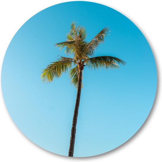 Low angle van een hoge palmboom onder een heldere hemel - Muurcirkel 80cm - Wandcirkel voor buiten - Aluminium Dibond - Minimalist - Landschap - Natuur