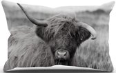 Sierkussen - Highland Cow - Zwart En Wit - 30 Cm X 30 Cm