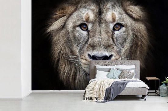 Papier peint - Papier peint photo Lion - Portrait - Sauvage - Largeur 420 cm x hauteur 280 cm