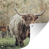Tuin poster Schotse hooglander - Licht - Natuur - 200x200 cm