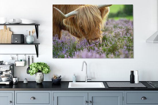 Close-up highlander écossais sent la toile de bruyère violette 2cm