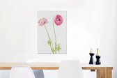 Canvas Schilderij Roze boterbloemen met een witte achtergrond - 40x60 cm - Wanddecoratie