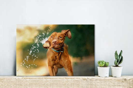 Canvas Schilderij Nat - Hond - Water - 30x20 cm - Wanddecoratie