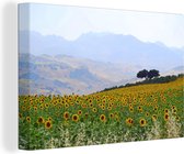 Canvas Schilderij Zonnebloemen in Andalusië - 90x60 cm - Wanddecoratie