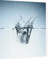IJs in water - Foto op Plexiglas - 60 x 60 cm