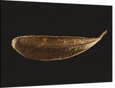 Gouden blad op zwarte achtergrond - Foto op Canvas - 60 x 40 cm
