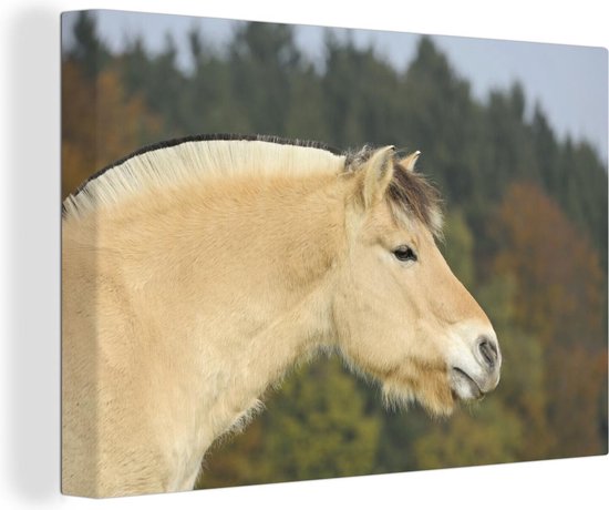 Cheval marron cheap clair
