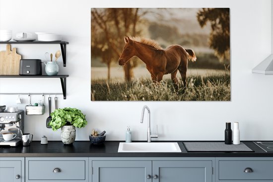 Poulain quarter horse dans les pâturages 120x80 cm - impression photo sur toile peinture (Décoration murale salon / chambre à coucher) / Mammifères toile Peintures