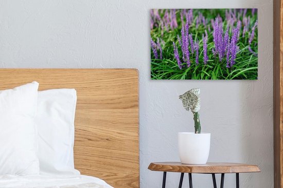 Gros plan herbe ornementale violette 30x20 cm - petit - Tirage photo sur toile (Décoration murale salon / chambre) / Peintures sur toile Fleurs