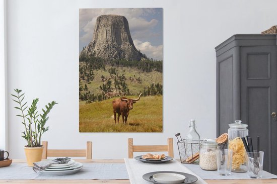 Tour des Diables dans le Wyoming avec une toile de taureau 2cm 90x140 cm - Tirage photo sur toile (Décoration murale salon / chambre)