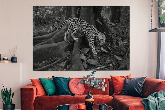 Peintures sur toile - Ocelot dans la jungle du Costa Rica en noir et blanc - 150x100 cm - Décoration murale