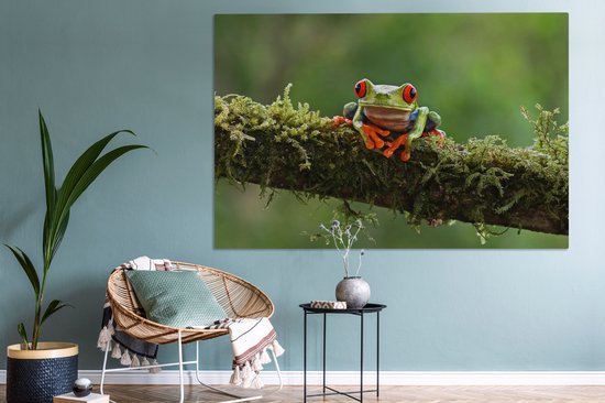 Grenouille d'arbre aux yeux rouges sur toile de branche couverte 2cm 150x100 cm - Impression photo sur toile (Décoration murale salon / chambre) / Peintures sur toile animaux sauvages