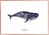 Poster Met Metaal Rose Lijst - Walvis Poster