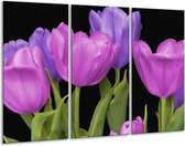 GroepArt - Schilderij -  Tulpen - Paars, Blauw, Groen - 120x80cm 3Luik - 6000+ Schilderijen 0p Canvas Art Collectie