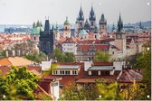 Praag, Europese stad van de honderd torens - Foto op Tuinposter - 225 x 150 cm