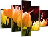 Glasschilderij -  Tulp - Oranje, Geel, Zwart - 100x70cm 5Luik - Geen Acrylglas Schilderij - GroepArt 6000+ Glasschilderijen Collectie - Wanddecoratie- Foto Op Glas