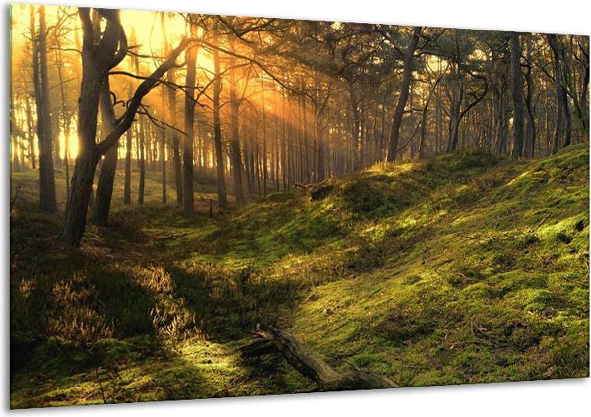 Glasschilderij Natuur - Geel, Groen - 120x70cm 1Luik - Foto Op Glas - Geen Acrylglas Schilderij - GroepArt 6000+ Glasschilderijen Art Collectie - Wanddecoratie - Woonkamer - Slaapkamer