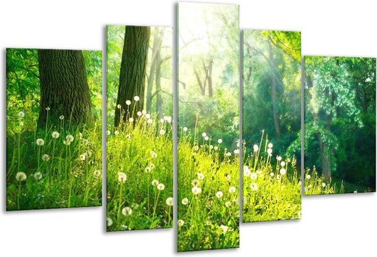 Glasschilderij Natuur - Groen - 170x100cm 5Luik - Foto Op Glas - Geen Acrylglas Schilderij - 6000+ Glasschilderijen Collectie - Wanddecoratie