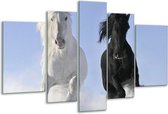 Glasschilderij Paarden - Wit, Zwart, Blauw - 170x100cm 5Luik - Foto Op Glas - Geen Acrylglas Schilderij - 6000+ Glasschilderijen Collectie - Wanddecoratie