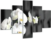Glasschilderij -  Orchidee, Bloemen - Zwart, Wit - 100x70cm 5Luik - Geen Acrylglas Schilderij - GroepArt 6000+ Glasschilderijen Collectie - Wanddecoratie- Foto Op Glas