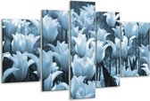 Peinture sur verre Tulipes, Fleurs | Bleu gris | 170x100cm 5 Liège | Tirage photo sur verre |  F006830