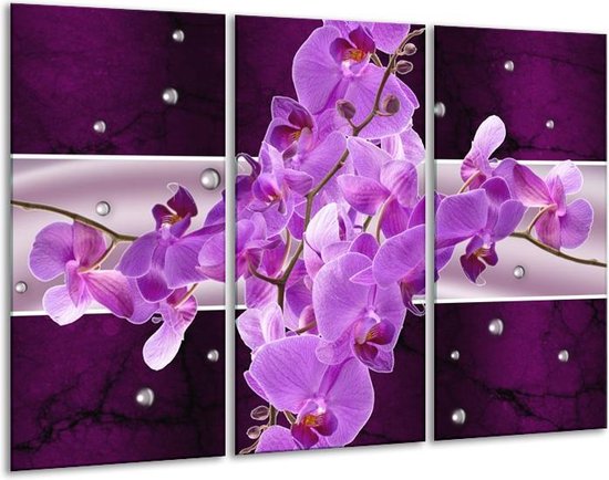 Glasschilderij Orchidee - Paars - 120x80cm 3Luik - Foto Op Glas - Geen Acrylglas Schilderij - GroepArt 6000+ Glas Art Collectie - Maatwerk Mogelijk