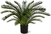 Cycas Palm M Deluxe 80 cm UV