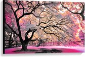 Canvas  - Wit/Roze Parkbomen  - 90x60cm Foto op Canvas Schilderij (Wanddecoratie op Canvas)