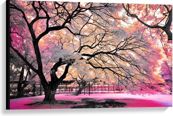Canvas - Wit/Roze Parkbomen - Foto op Canvas Schilderij (Wanddecoratie op Canvas)