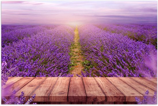 Poster – Uitzicht over Lavendel Veld - 60x40cm Foto op Posterpapier