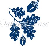 Mini Acorns (ETL404)
