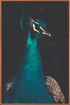 JUNIQE - Poster met kunststof lijst Peacock And Proud -13x18 /Ivoor &