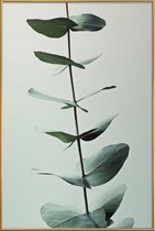 JUNIQE - Poster met kunststof lijst Eucalyptus Green -13x18 /Groen &