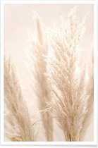 JUNIQE - Poster Pampas Reed 8 -40x60 /Ivoor & Wit