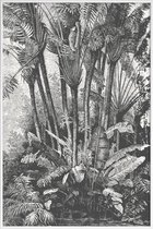JUNIQE - Poster in kunststof lijst Palms in Water -20x30 /Grijs &