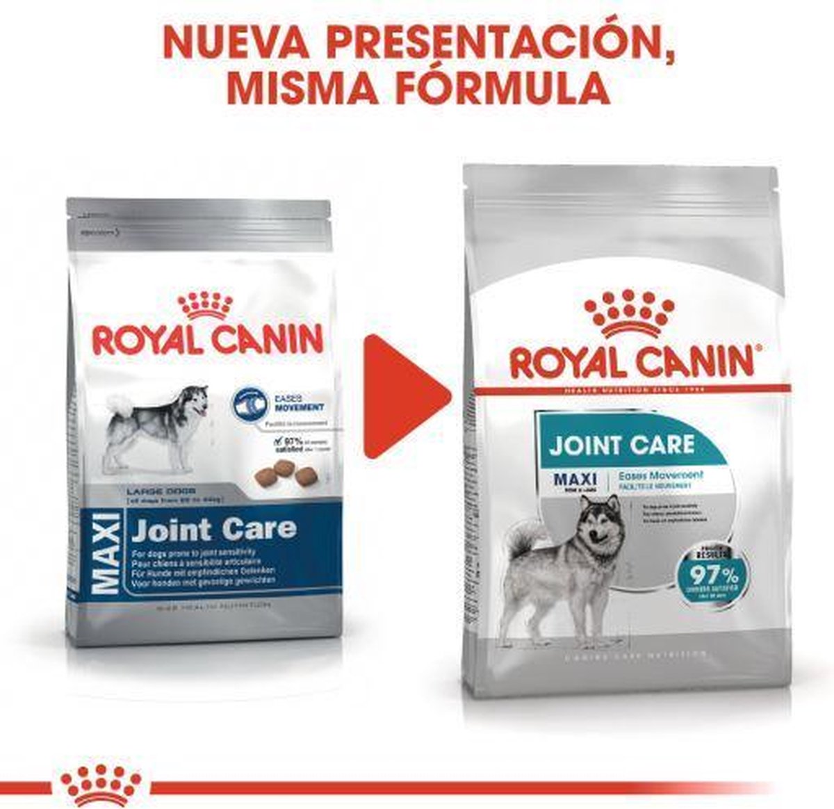 ongeluk rooster steno Royal Canin Ccn Joint Care Maxi - Hondenvoer - 10 kg | bol.com