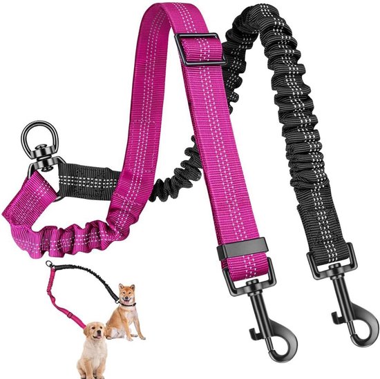 FlexiPaws - Dubbele Uitschuifbare Hondenriem met 360° Draaibare Connec FlexiPaws - Dubbele Uitschuifbare Hondenriem met 360° Draaibare Connec