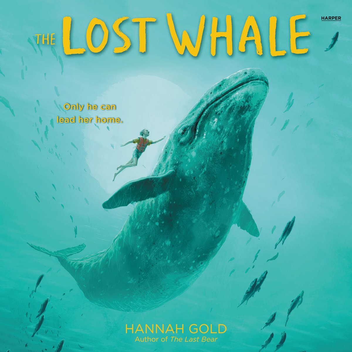 Omslag van The Lost Whale