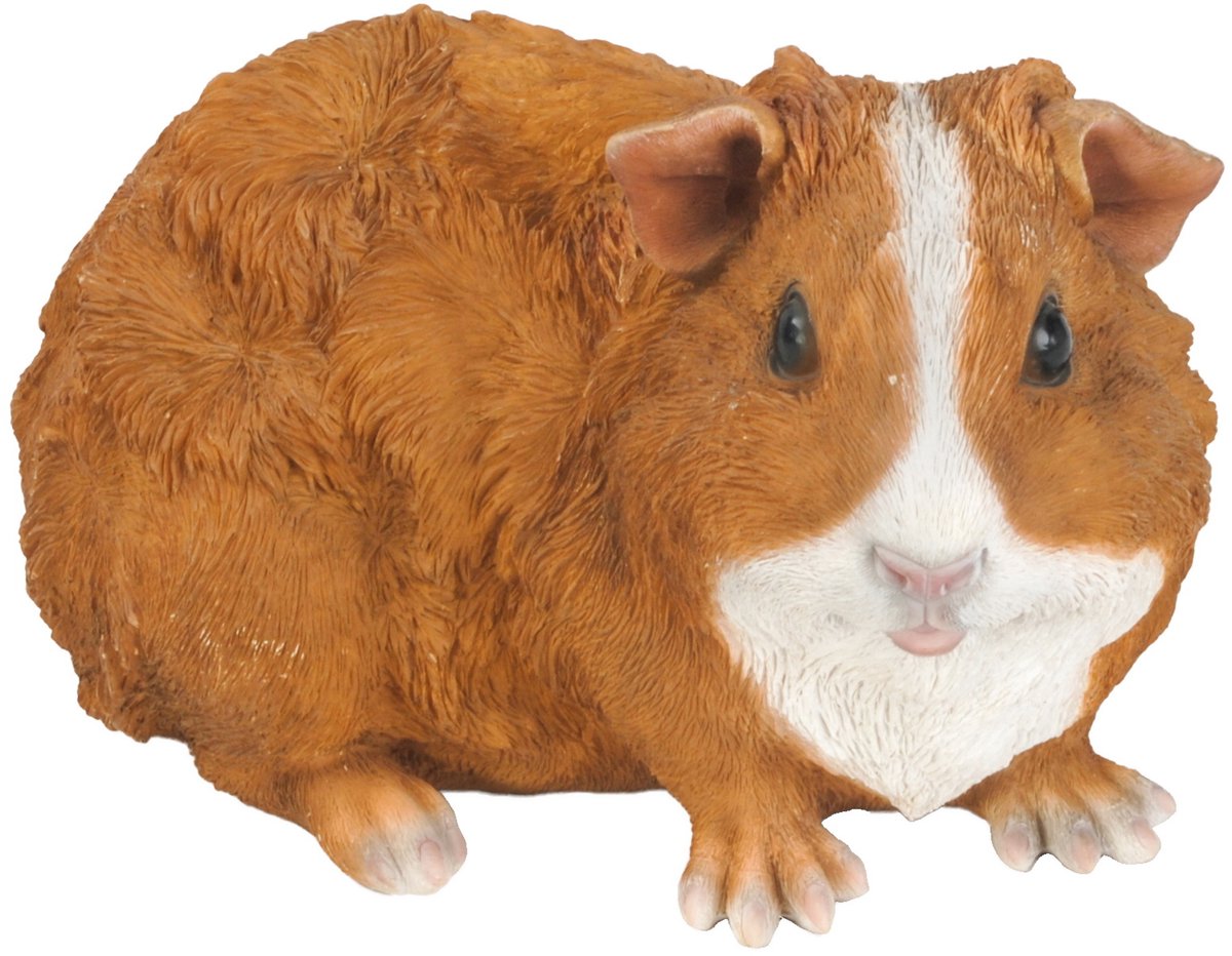 HotAnt Tuinbeeld dieren - Cavia bruin (Polystone) - Voor buiten - Tuin decoratie - Cadeau
